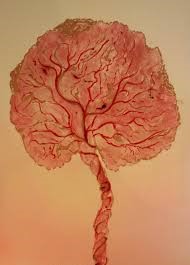 Placenta nella forma di albero della vita