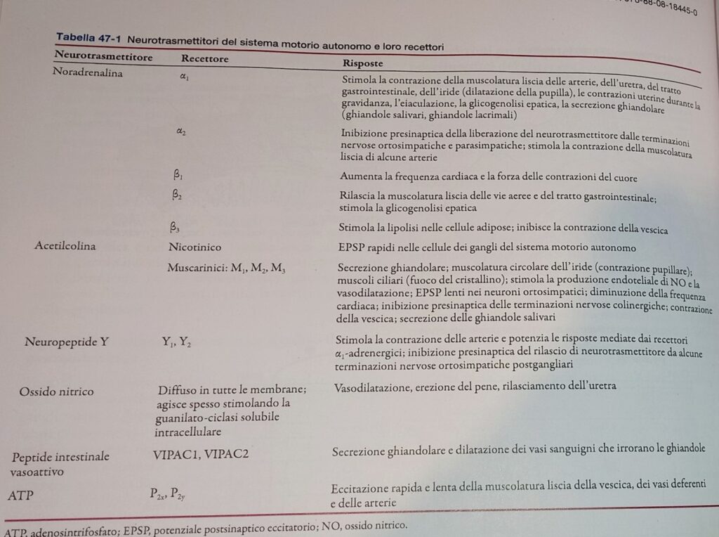 Tabella neurotrasmettitori del sistema nervoso autonomo e loro recettori.