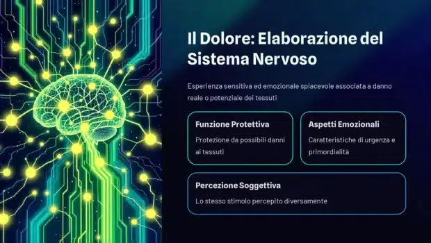 elaborazione